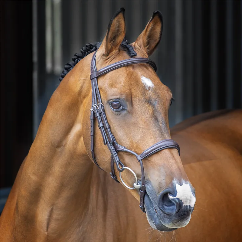 Shires Velociti Lusso Rolled Padded Cavesson Bridle - Havana